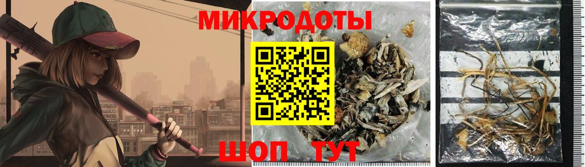 Псилоцибиновые грибы Psilocybe Карасук