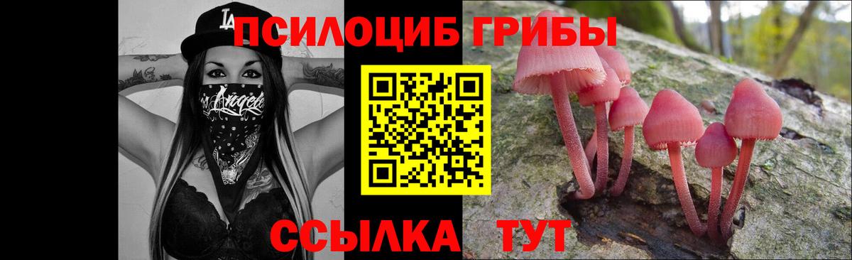 Псилоцибиновые грибы Cubensis  Галлюциногенные грибы Magic Shrooms  Вход с VPN  Карасук 